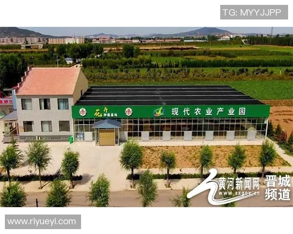 河北农民频道助力乡村振兴打造农民致富新平台与交流新天地