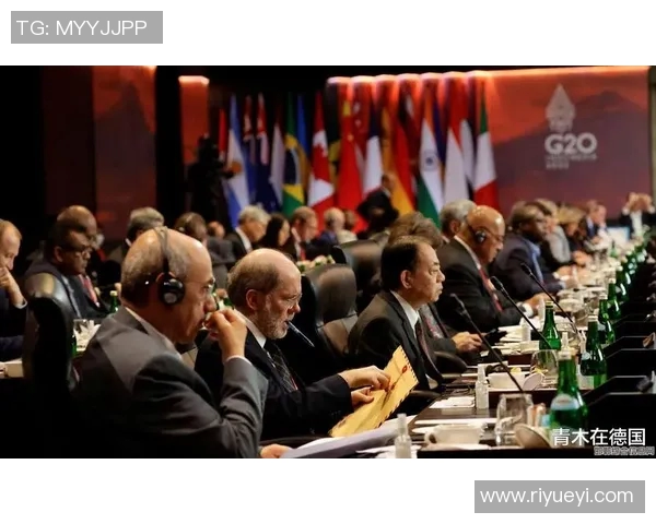 赖斯在国际关系中的新角色与影响力分析及其对未来局势的启示