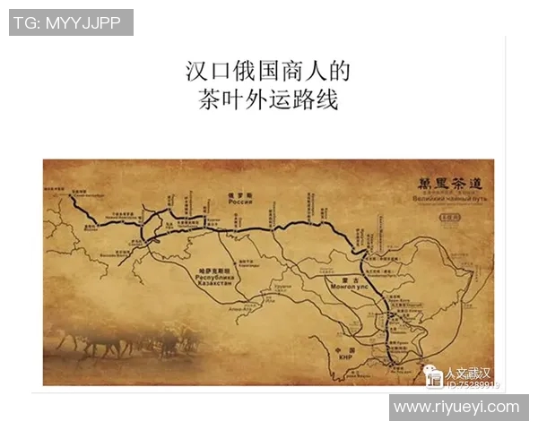 赖斯的外交智慧与全球战略影响力的深度解析与探讨